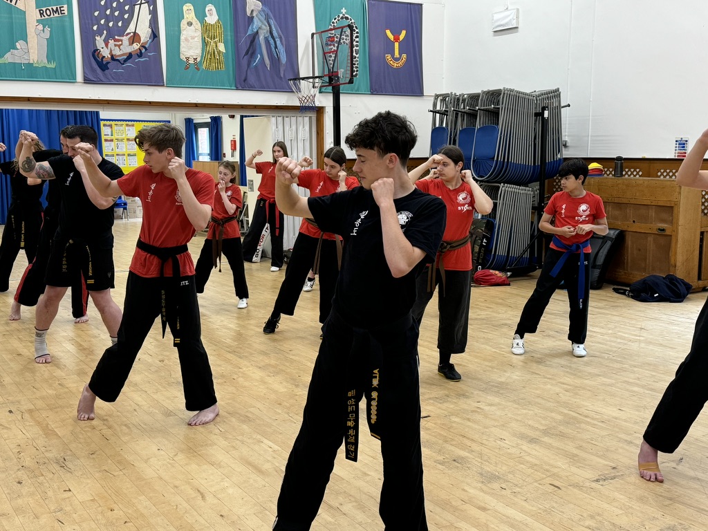 Martial Arts Class - Pil Sung Do in Surrey